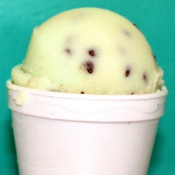 Mint Chocolate Chip Italian Ice Nancy's Italian ice